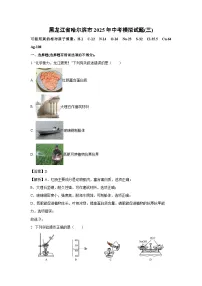 黑龙江省哈尔滨市2025年中考模拟(三)化学试卷（解析版）