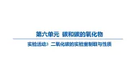 人教版(2024)九年级上册(2024)二氧化碳的实验室制取与性质教课内容课件ppt