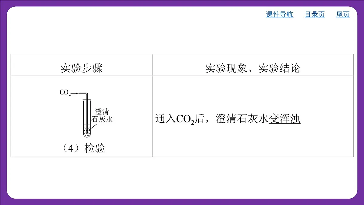 九年级上册化学人教版(2024) 第六单元实验活动3二氧化碳的实验室制取与性质课件第5页