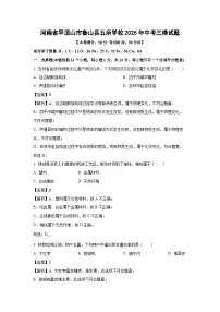 河南省平顶山市鲁山县五所学校2025年中考三模化学试卷(解析版)
