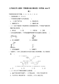 九年级化学上册第一学期期末综合测试卷（科学版 2024年秋）