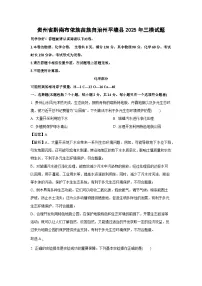 贵州省黔南布依族苗族自治州平塘县2025年中考三模化学试卷（解析版）