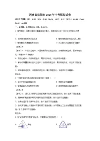 河南省洛阳市2025年中考模拟化学试卷（解析版）