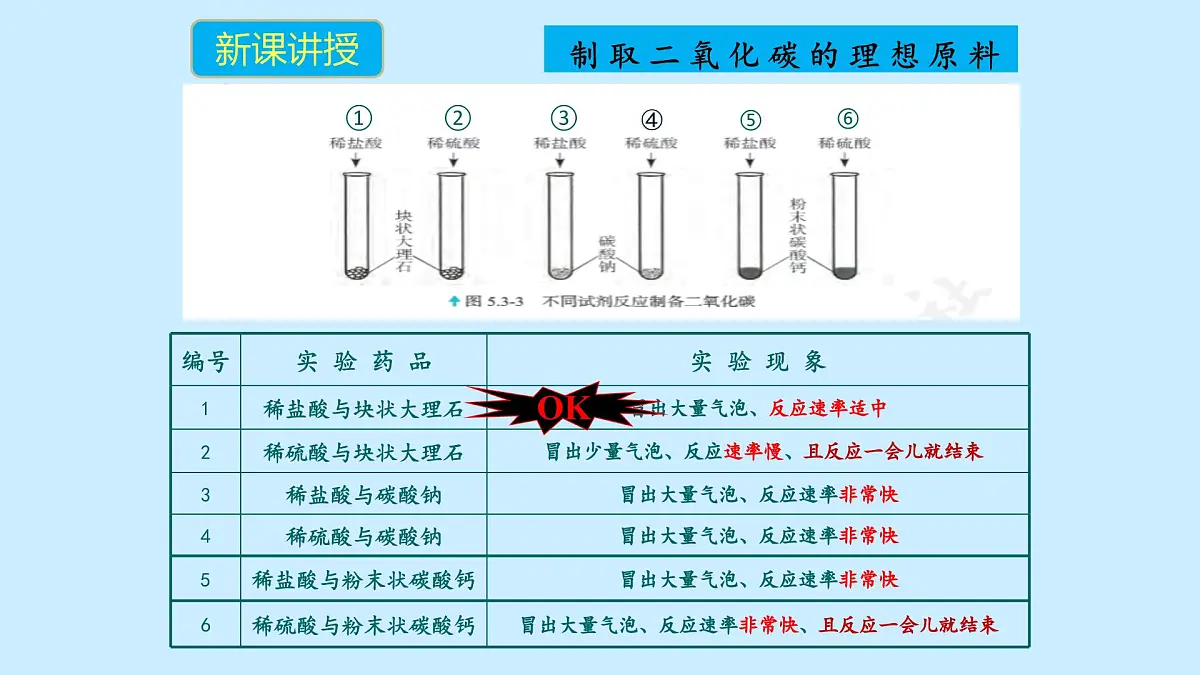科粤版(2024)化学九年级上册 5.3 二氧化碳第二课时 课件第7页