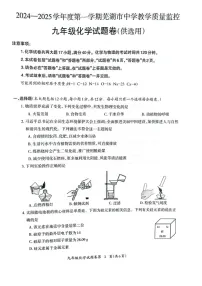 安徽省芜湖市2024-2025学年九年级上学期1月期末化学试卷