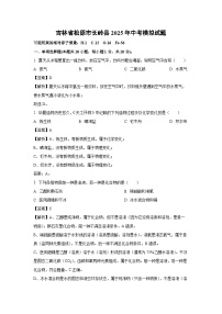 吉林省松原市长岭县2025年中考模拟化学试卷（解析版）