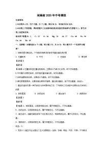 河南省2025年中考模拟化学试卷（解析版）