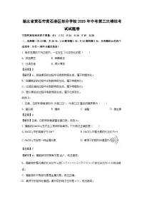 湖北省黄石市黄石港区部分学校2025年中考第三次模拟考试卷化学试卷（解析版）