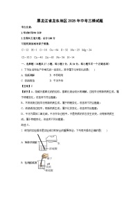 黑龙江省龙东地区2025年中考三模化学试卷(解析版)