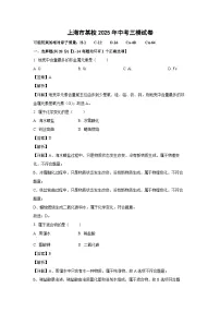 【化学】上海市某校2025年中考三模试卷（解析版）