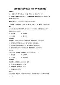 【化学】河南省驻马店市确山县2025年中考三模试题（解析版）
