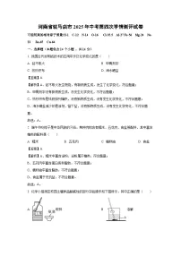 【化学】河南省驻马店市2025年中考第四次学情测评试卷（解析版）