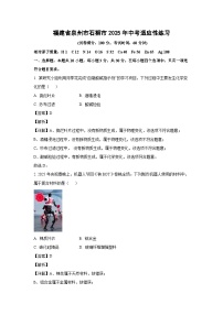 福建省泉州市石狮市2025年中考适应性练习化学试卷（解析版）