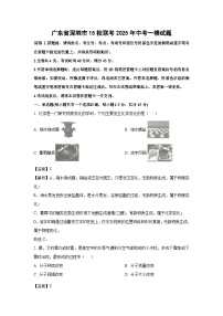 广东省深圳市15校联考2025年中考一模化学试卷（解析版）