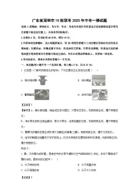广东省深圳市15校联考2025年中考一模化学试卷（解析版）