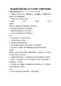 湖北省黄石市黄石港区2025年中考第一次模拟考试化学试卷（解析版）