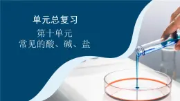 第十單元 常見的酸堿鹽 復(fù)習(xí)課 課件2025-2026學(xué)年九年級化學(xué)人教版下冊