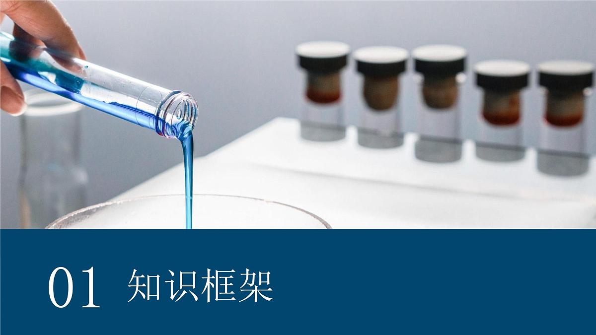 第十单元 常见的酸碱盐 复习课 课件2025-2026学年九年级化学人教版下册第2页