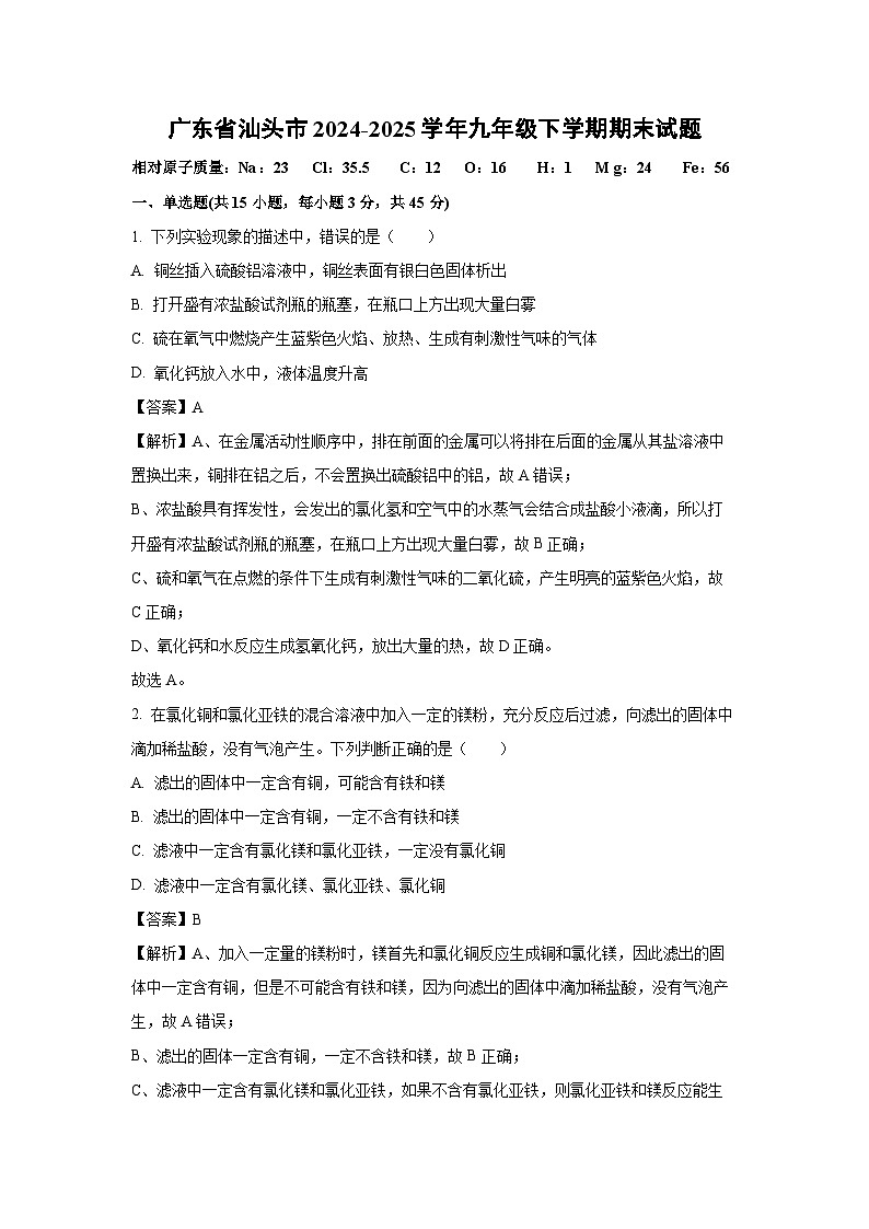 广东省汕头市2024-2025学年九年级下学期期末化学试题(解析版)第1页