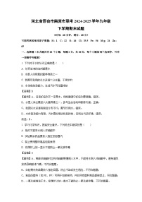 河北省邢台市南宫市联考2024-2025学年九年级下学期期末化学试题（解析版）
