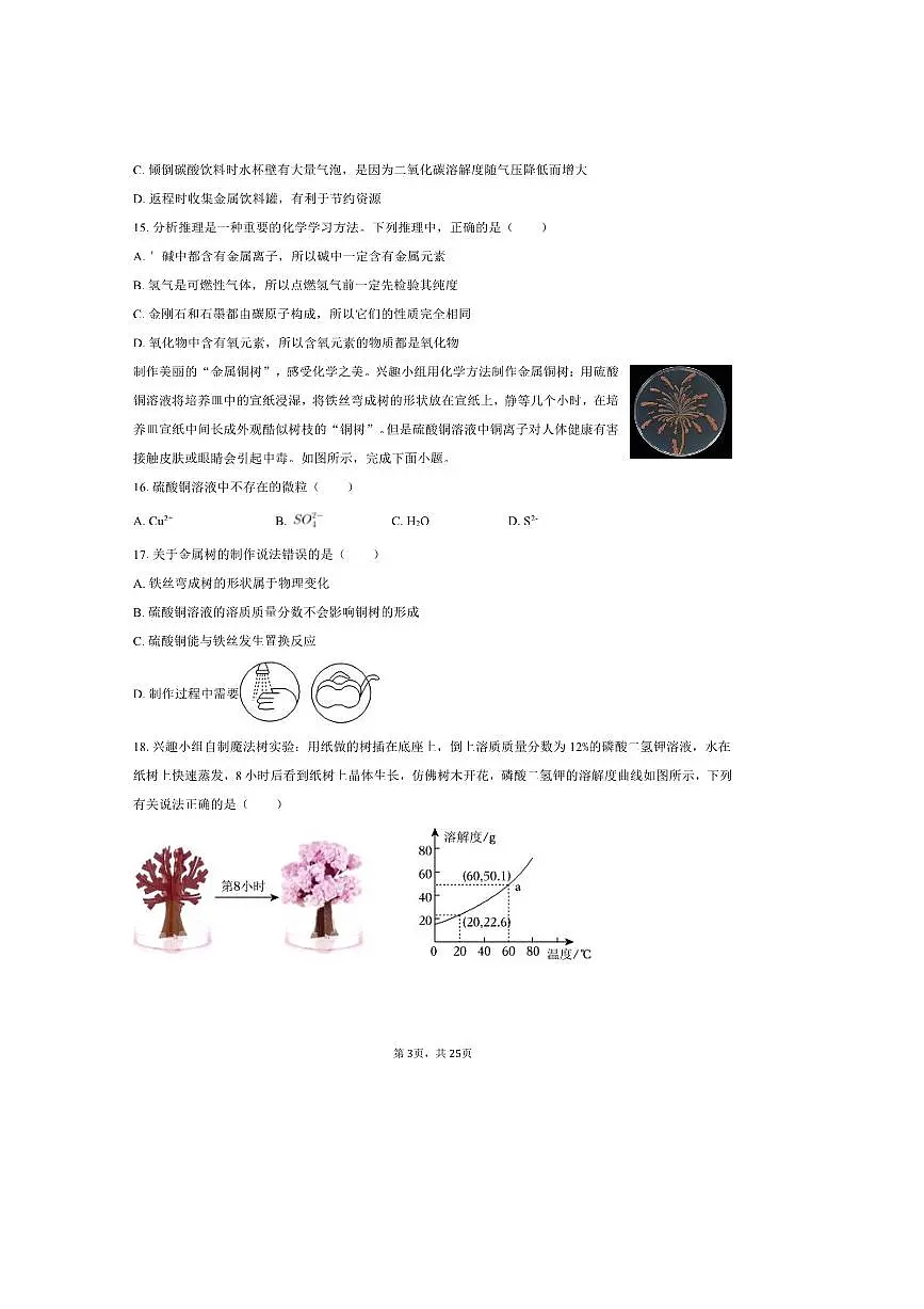 2025年江苏省扬州市邗江实验学校中考化学三模试卷(含解析)第3页