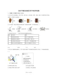 2025年湖北省武汉市中考化学试卷（含解析）
