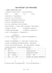 2025年四川省广元市中考化学试卷（含解析）