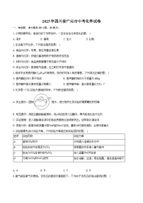 2025年四川省广元市中考化学试卷（含解析）