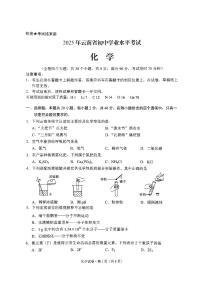 2025年云南省中考化学试题（无答案）
