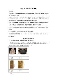 武汉市2025年中考真题化学试卷（解析版）