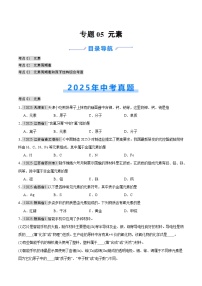 2025年中考化学真题分类汇编：专题05 元素（全国通用）（第01期）（原卷版）