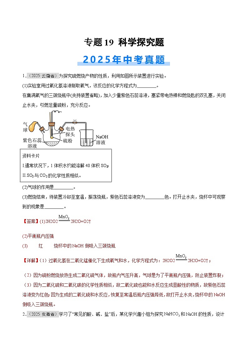 2025年中考化学真题分类汇编:专题19 科学探究题(全国通用)(第01期)(解析版)第1页