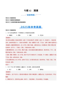 2025年中考化学真题分类汇编：专题12 溶液（全国通用）（第02期）（解析版）
