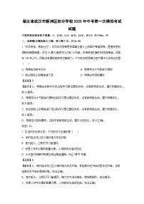 湖北省武汉市新洲区部分学校2025年中考第一次模拟考试 化学试卷（解析版）