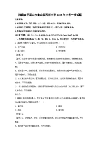 河南省平顶山市鲁山县两所中学2025年中考一模化学试卷(解析版)
