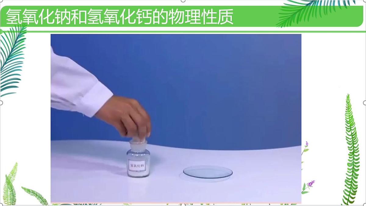 初中化学鲁教版九年级下册课件第七单元第二节碱及其性质(一)课件第5页