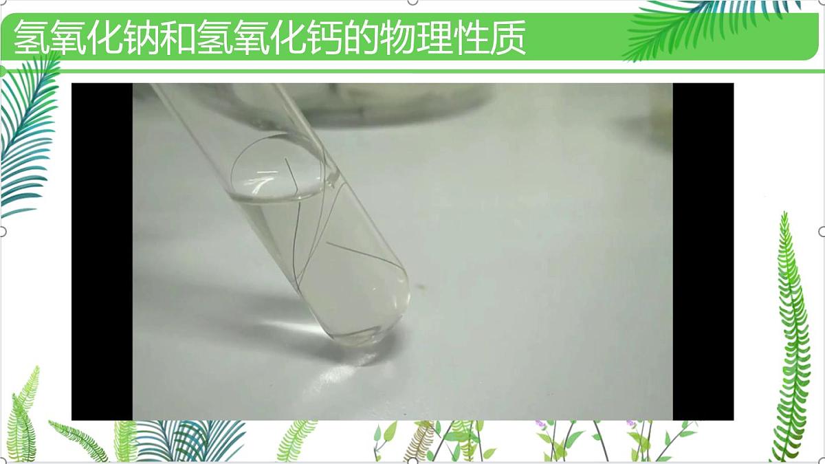 初中化学鲁教版九年级下册课件第七单元第二节碱及其性质(一)课件第6页