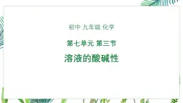初中化學(xué)魯教版九年級(jí)下冊(cè)第七單元第三節(jié)溶液的酸堿性課件