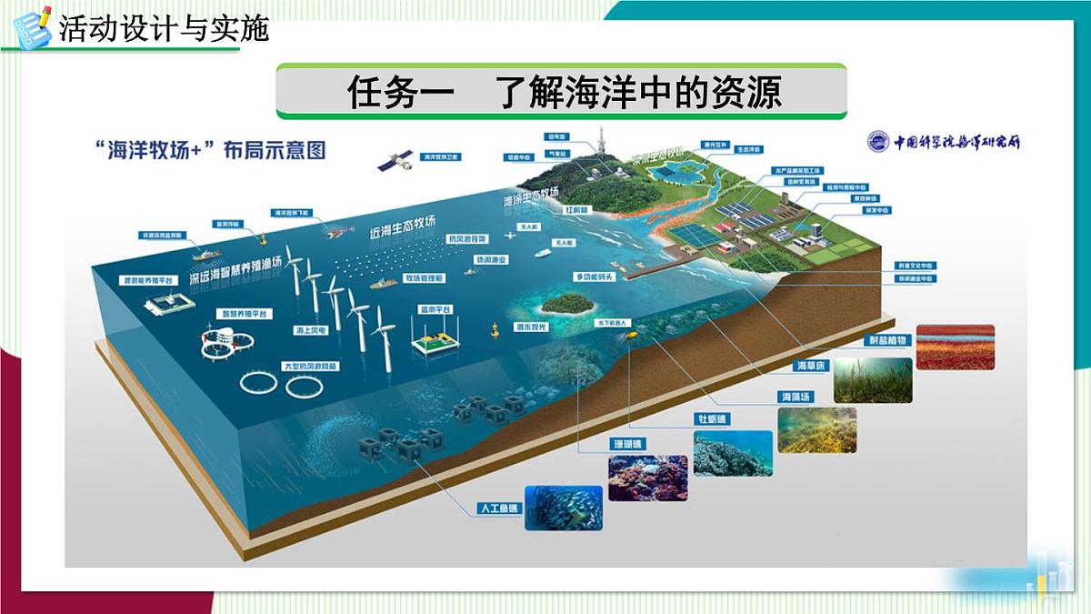 跨学科实践活动8 海洋资源的综合利用与制盐第3页