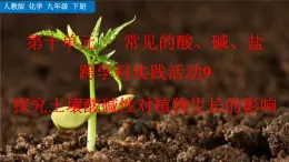 人教版化學(xué)2024九年級下冊 第10單元 跨學(xué)科實(shí)踐活動9  探究土壤酸堿性對植物生長的影響 PPT課件