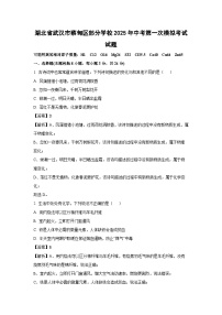 湖北省武汉市蔡甸区部分学校2025年中考第一次模拟考试化学试题（解析版）