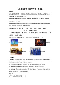 山东省东营市2025年中考一模化学试题（解析版）