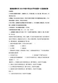 湖南省郴州市2025年初中学业水平考试第一次监测化学试题(解析版)