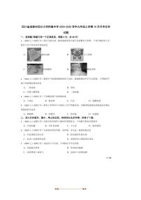 2024～2025学年四川省成都市四川大学附属中学九年级上10月月考化学试卷