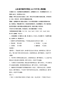 山东省济南市济阳区2025年中考二模化学试题（解析版）