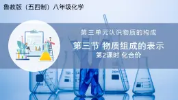 【魯教版五四制】八年級化學(xué)  3.3 物質(zhì)組成的表示 第2課時(shí)（課件+講義+教學(xué)設(shè)計(jì)+導(dǎo)學(xué)案+分層作業(yè)含解析版）