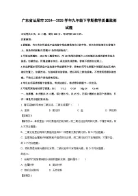 广东省汕尾市2024--2025学年九年级下学期教学质量监测试题化学试卷(解析版)
