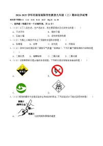 河南省南阳市社旗县2024-2025学年九年级上学期期末考试化学试卷