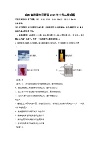 山东省菏泽市巨野县2025年中考二模化学试题(解析版)