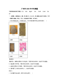 广州市2025年中考真题化学试题（解析版）